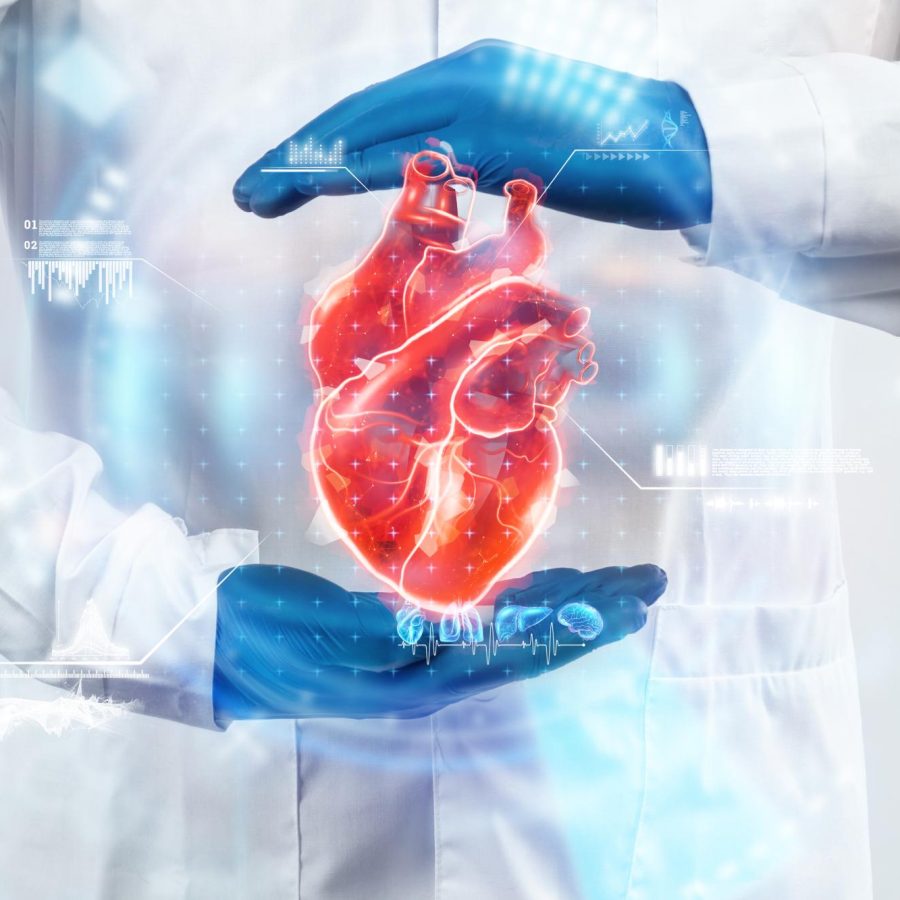 doctor-looks-heart-hologram-checks-test-result-virtual-interface-analyzes-data-heart-disease-myocardial-infarction-innovative-technologies-medicine-future(1)